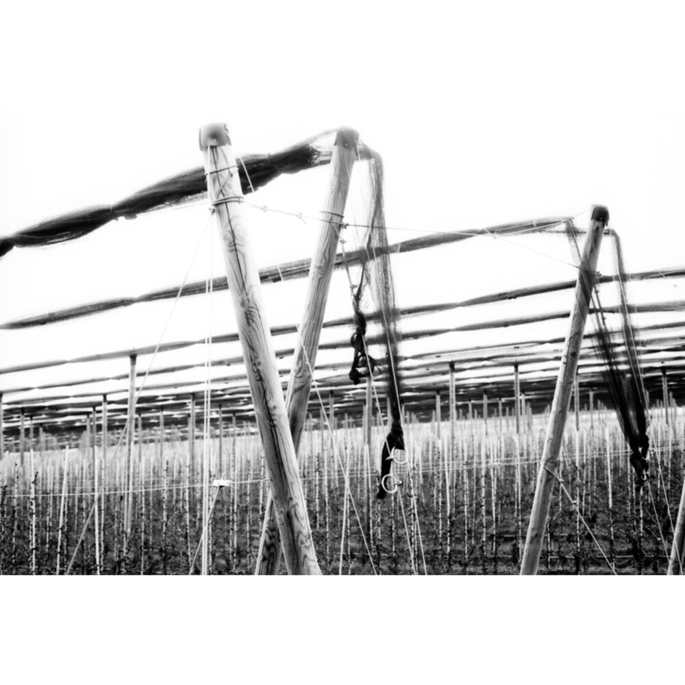 KONO! Monolit 3 Black and White 35mm Film