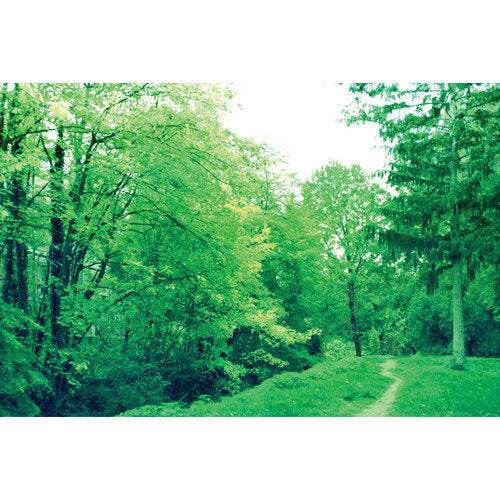 KONO! Monsoon 35mm ISO 200 Experimental 24 Exposure Colour Film