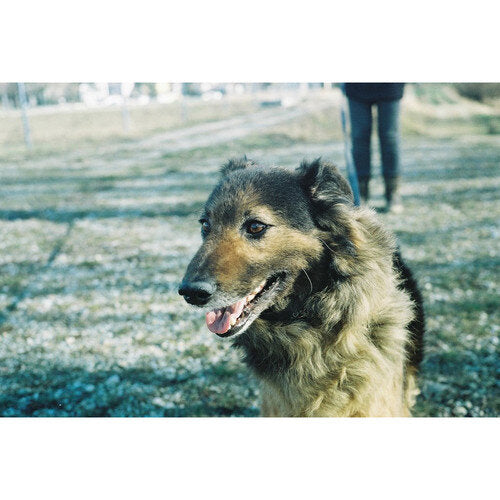 KONO! Monsoon 35mm ISO 200 Experimental 24 Exposure Colour Film