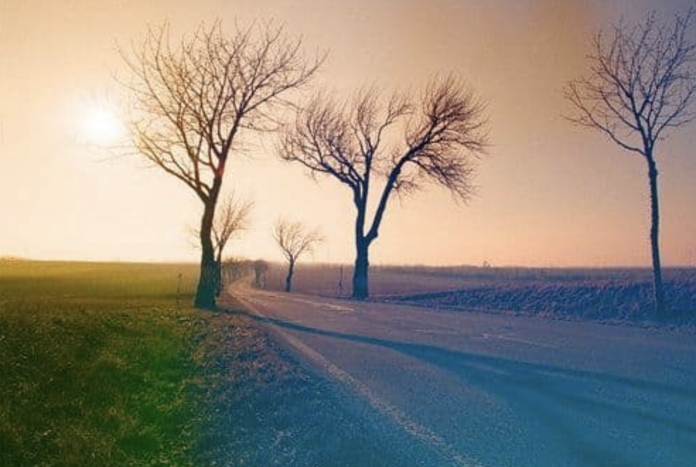 KONO! Mirage ISO 200 35mm 24 Exposure  Experimental Colour Film