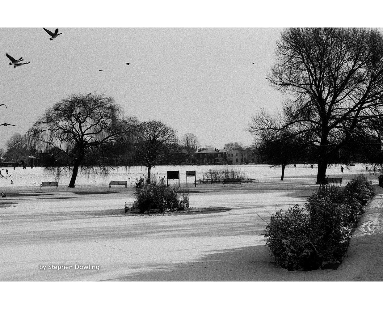 Kosmo Foto Mono 100 35mm Black and White Film